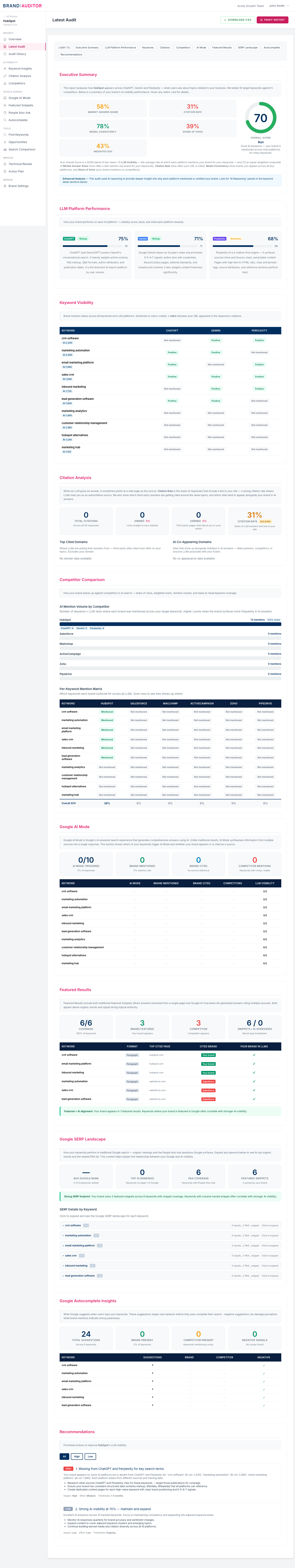 Brand Auditor latest audit report screen